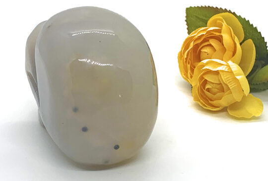 Large Dendritic Agate Skull