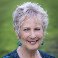 Author Linda Yael sSchiller